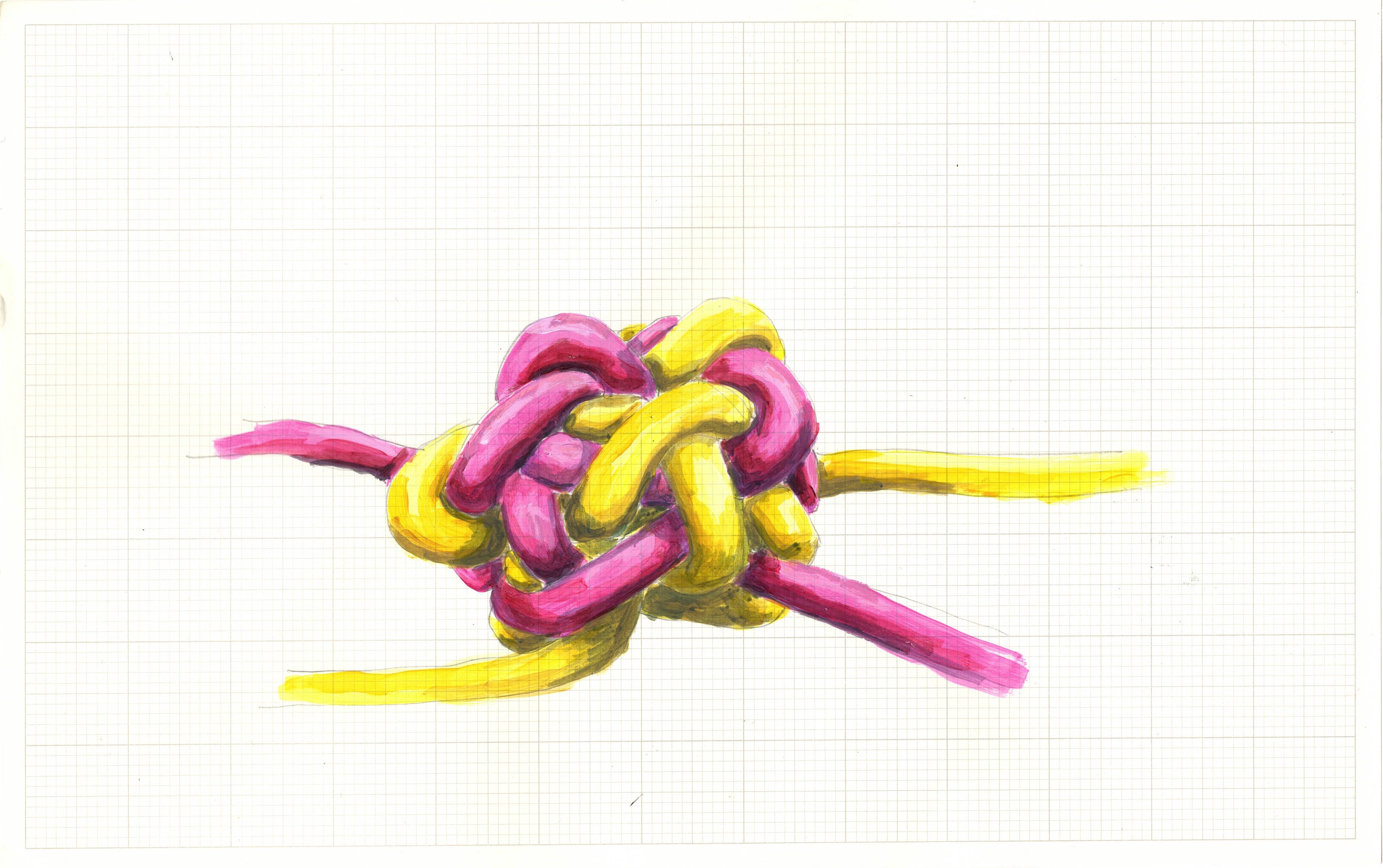 Pink and Yellow Knot